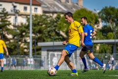 DSD00949