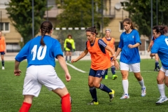 DSD00817