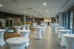 DSC05171-Enhanced-NR